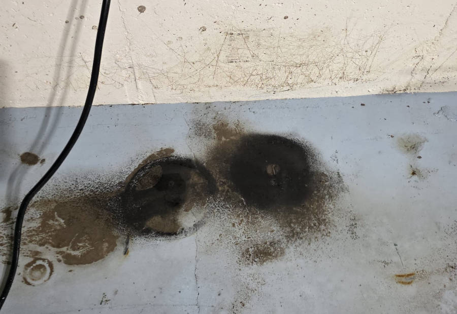 Small patches of surface mould on a basement floor before cleaning